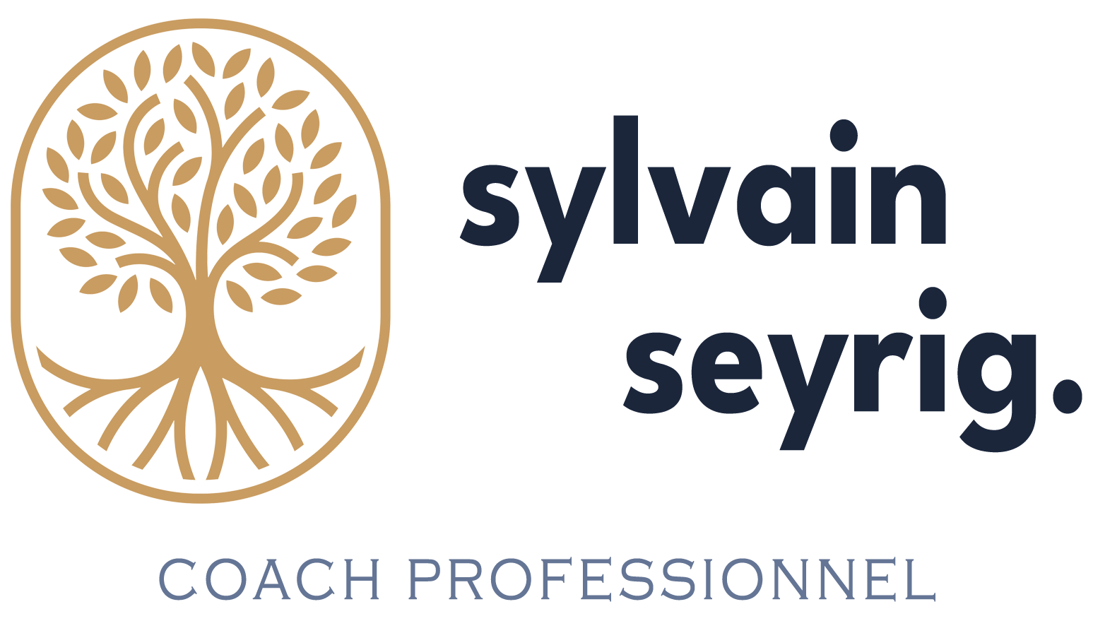 Logo Sylvain Seyrig